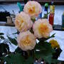 2006_shows003