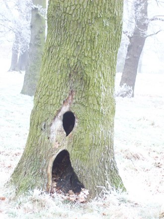 WHO LIVES IN A HOUSE LIKE THIS??????