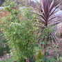 P1010010