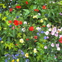 Pict0230