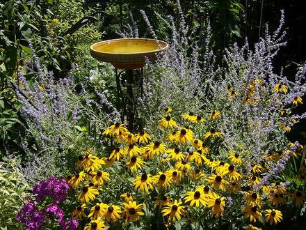 Birdbath