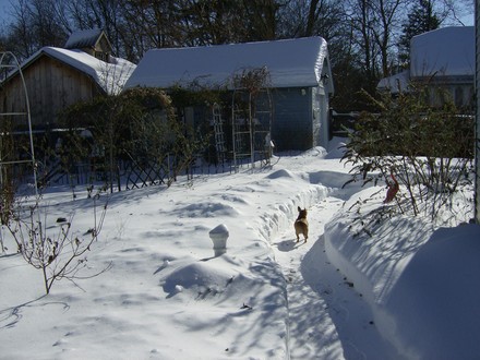 Back Yard View - Taken Today Frebruary 22, 2008