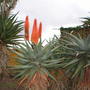Botanic Garden