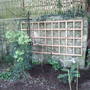 New_trellis