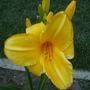 028
