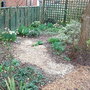Old_rose_garden_2008