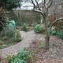 Hidden_garden_2008