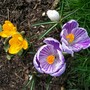 Mum_n_brooke_3