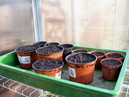 Seeds we have sown today
