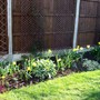 spring has arrived