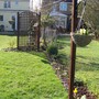 spring is on way!