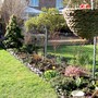 sunny spring morning