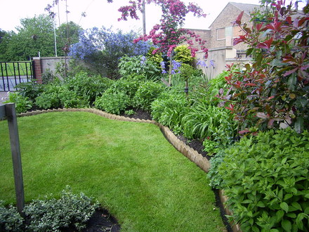 Front border 