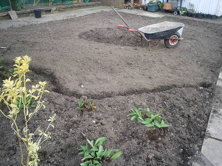 pond site