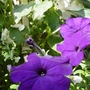 August_2007