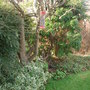 Garden_035