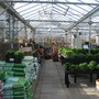 Nursery