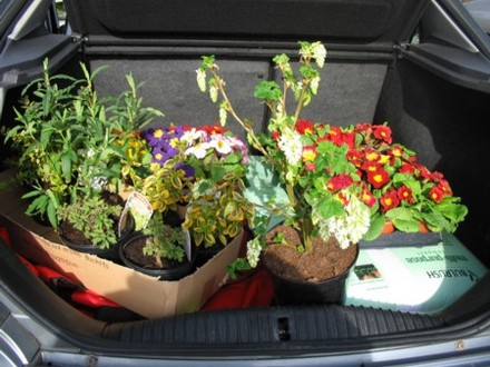 A bootfull of goodies