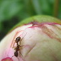 Img_1222