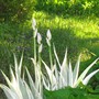 Img_1190