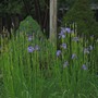 Img_1206