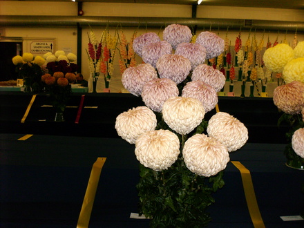 Three vases of five mediums early national 2007