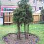 Front Garden...