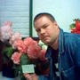 Begonia