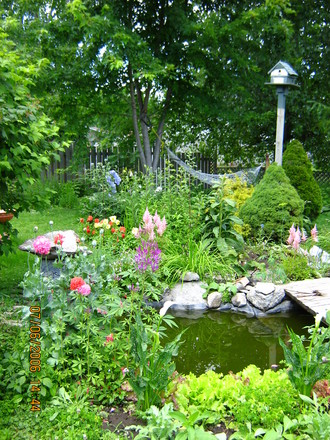 growing fish food-Secret Garden.