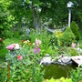 growing fish food-Secret Garden.