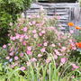 Pict0182