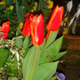 Dsc00672