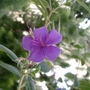 Cimg3257