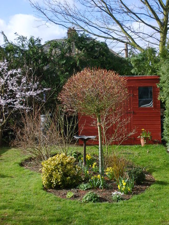 Early Spring