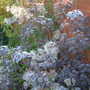 Dscf1291