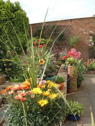 Summer colour