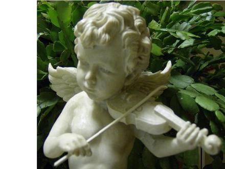 Cherub
