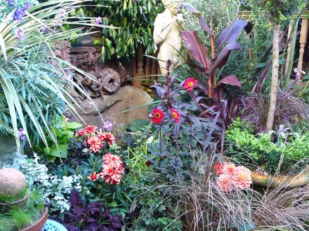 A garden flower photo