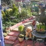 The_patch_111