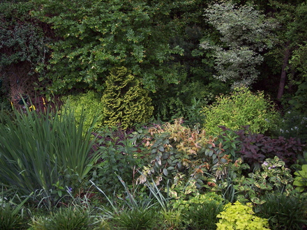 summer side yard