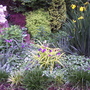Spring_flowers__5-11-06_011