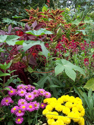 fav. color combos '07