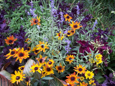  plant combos '06