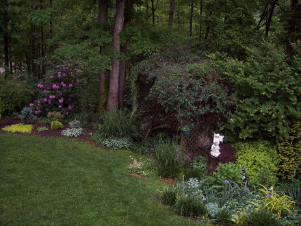 A garden flower photo