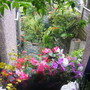 from my window