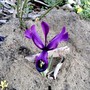 Pict0207