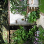 Chelsea Flower Show