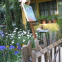 Chelsea Flower Show
