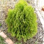 Pict0221