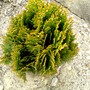 Pict0234